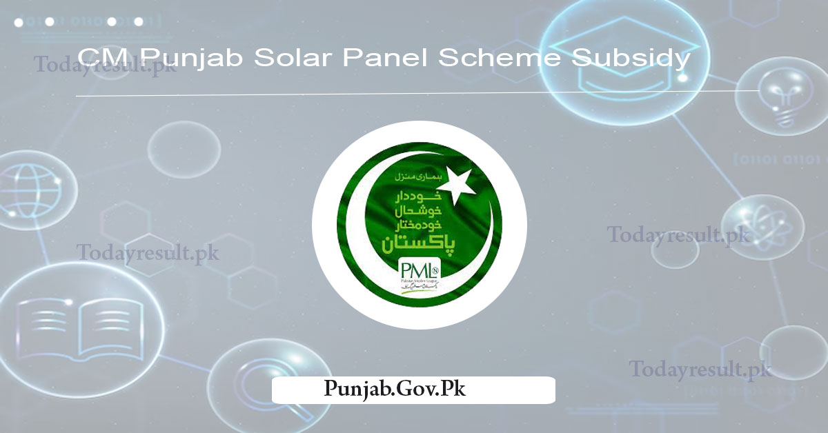 CM Punjab Solar Panel Scheme